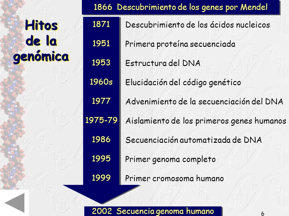 Hitos de la genómica 1866 Descubrimiento de los genes por Mendel 1871