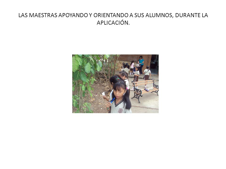 LAS MAESTRAS APOYANDO Y ORIENTANDO A SUS ALUMNOS, DURANTE LA APLICACIÓN.