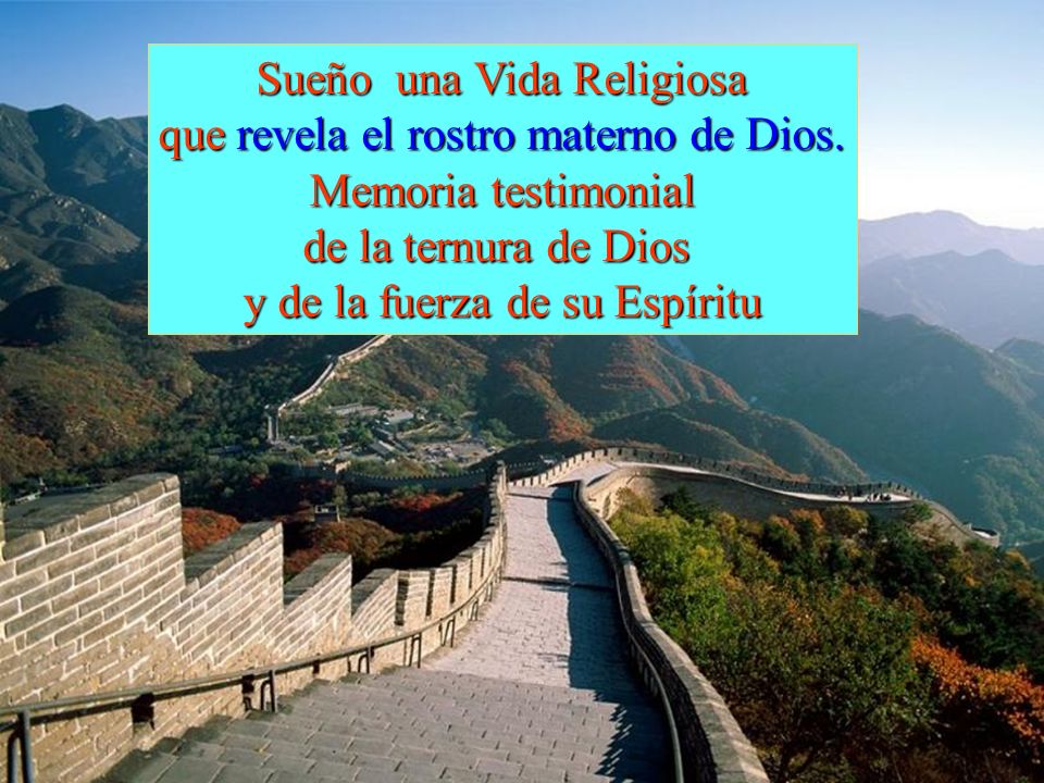 Sueño una Vida Religiosa que revela el rostro materno de Dios.