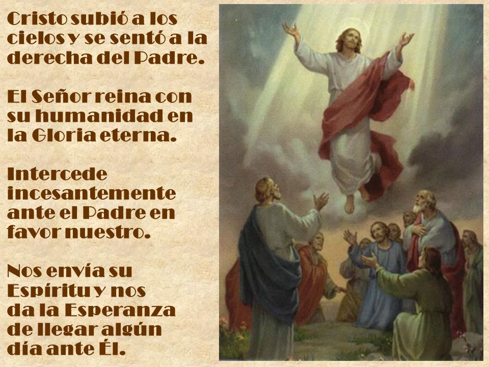 Cristo subió a los cielos y se sentó a la derecha del Padre.