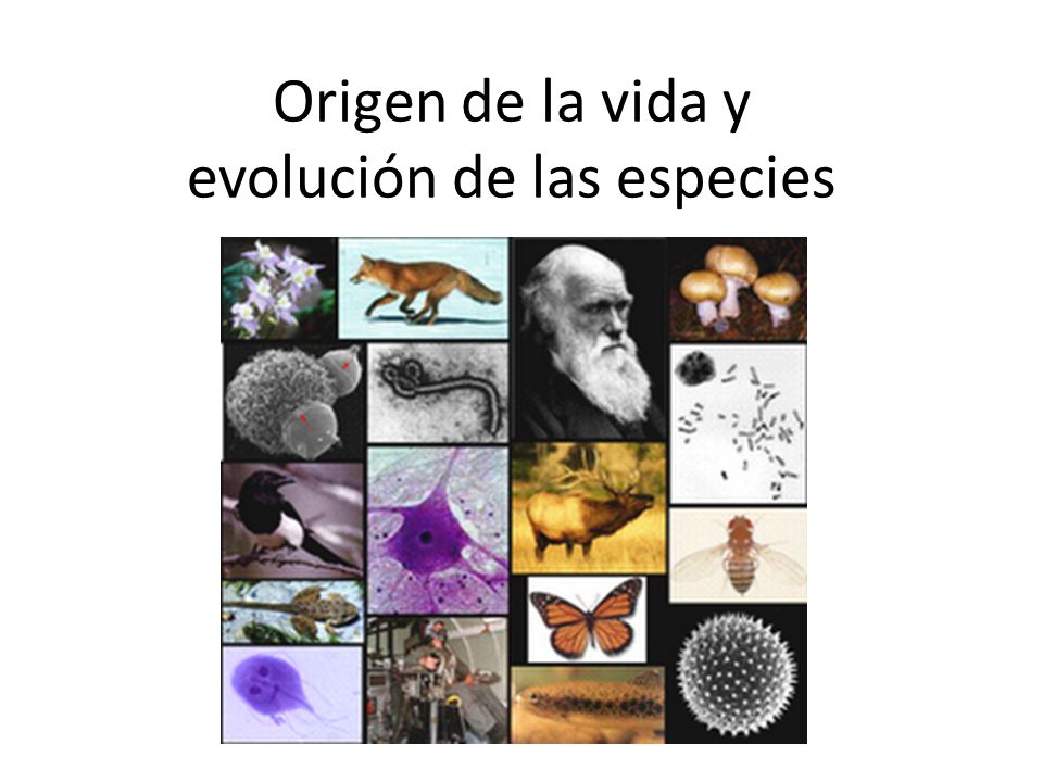 Origen de la vida y evolución de las especies
