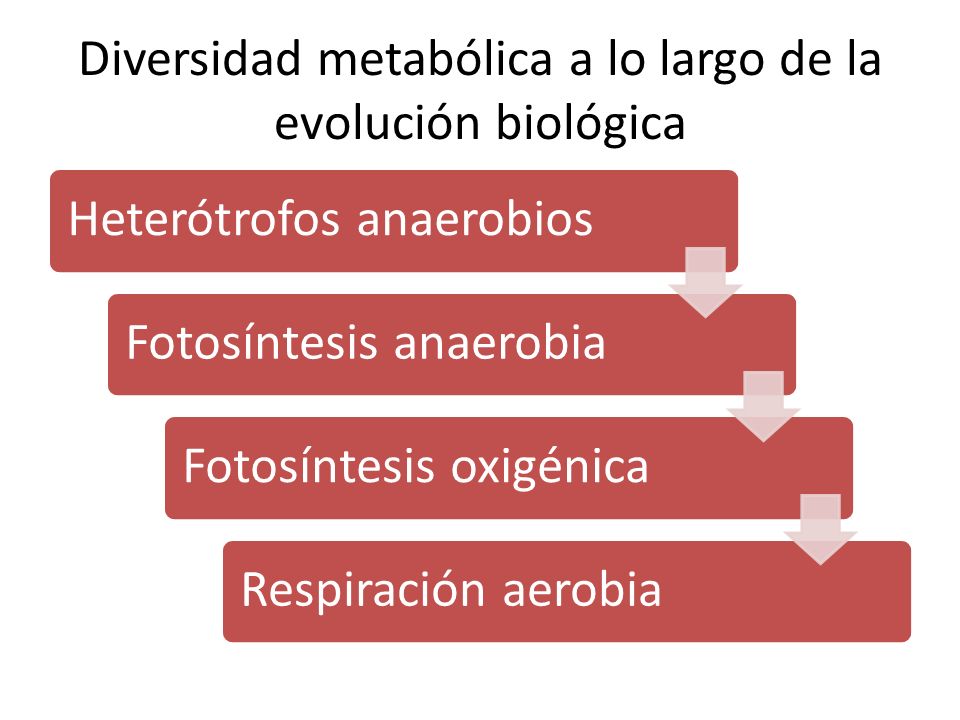 Diversidad metabólica a lo largo de la evolución biológica