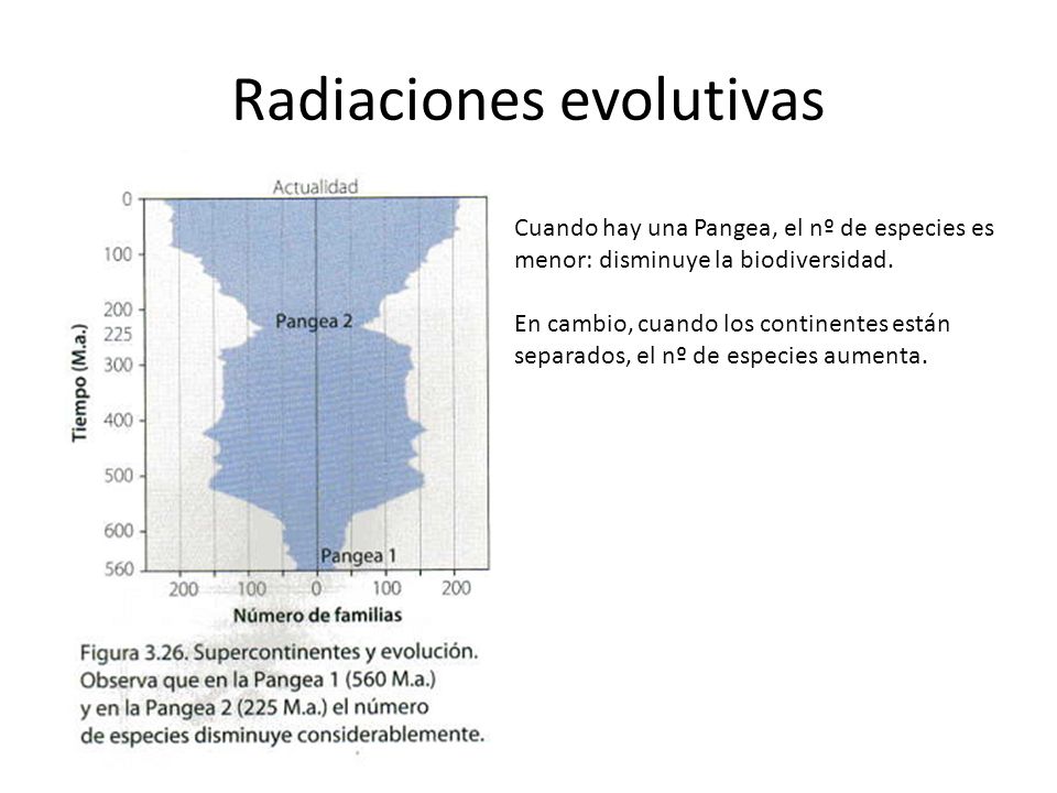 Radiaciones evolutivas
