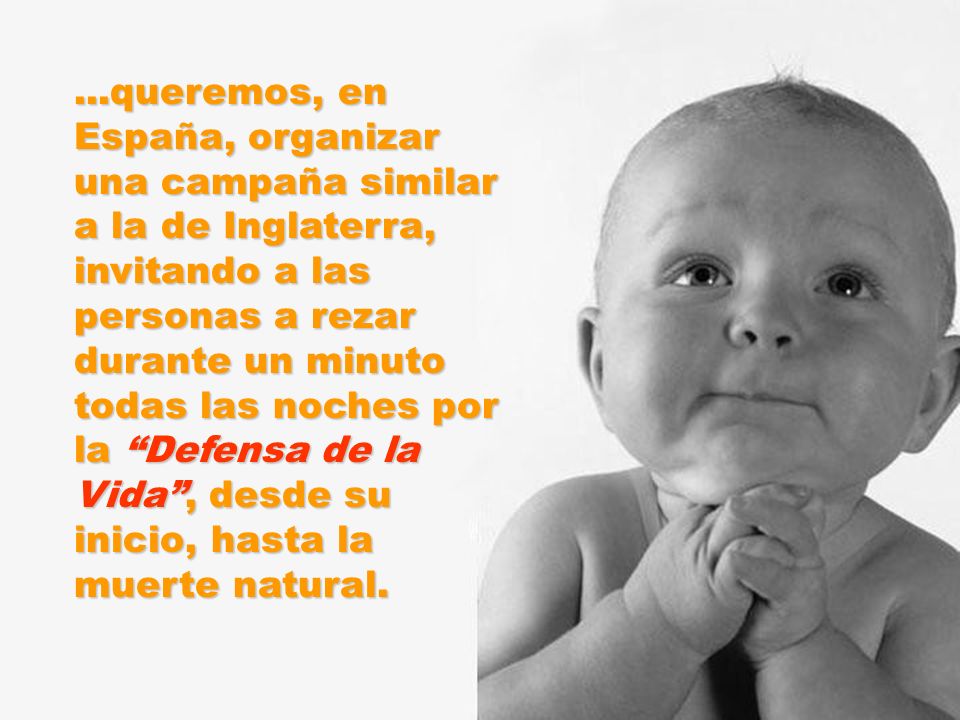...queremos, en España, organizar una campaña similar a la de Inglaterra, invitando a las personas a rezar durante un minuto todas las noches por la Defensa de la Vida , desde su inicio, hasta la muerte natural.