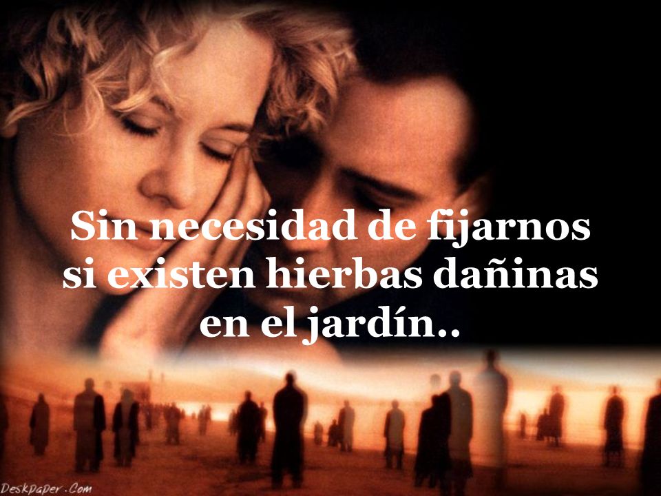 Sin necesidad de fijarnos si existen hierbas dañinas en el jardín..