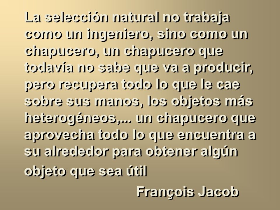 La selección natural no trabaja como un ingeniero, sino como un chapucero, un chapucero que todavía no sabe que va a producir, pero recupera todo lo que le cae sobre sus manos, los objetos más heterogéneos,...