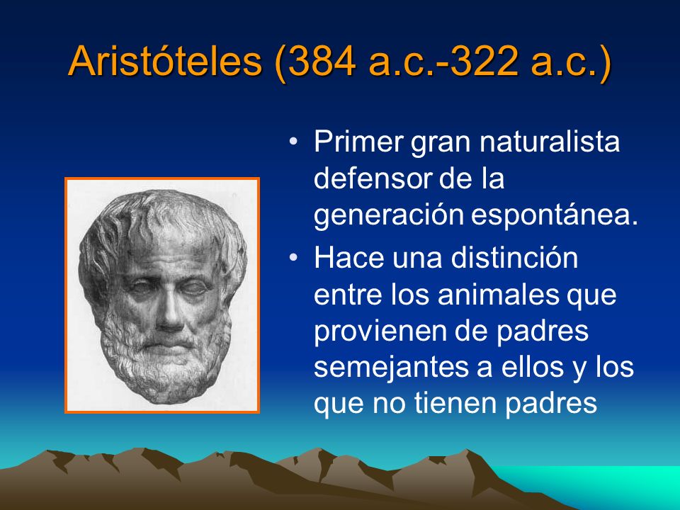 Aristóteles (384 a.c.-322 a.c.) Primer gran naturalista defensor de la generación espontánea.