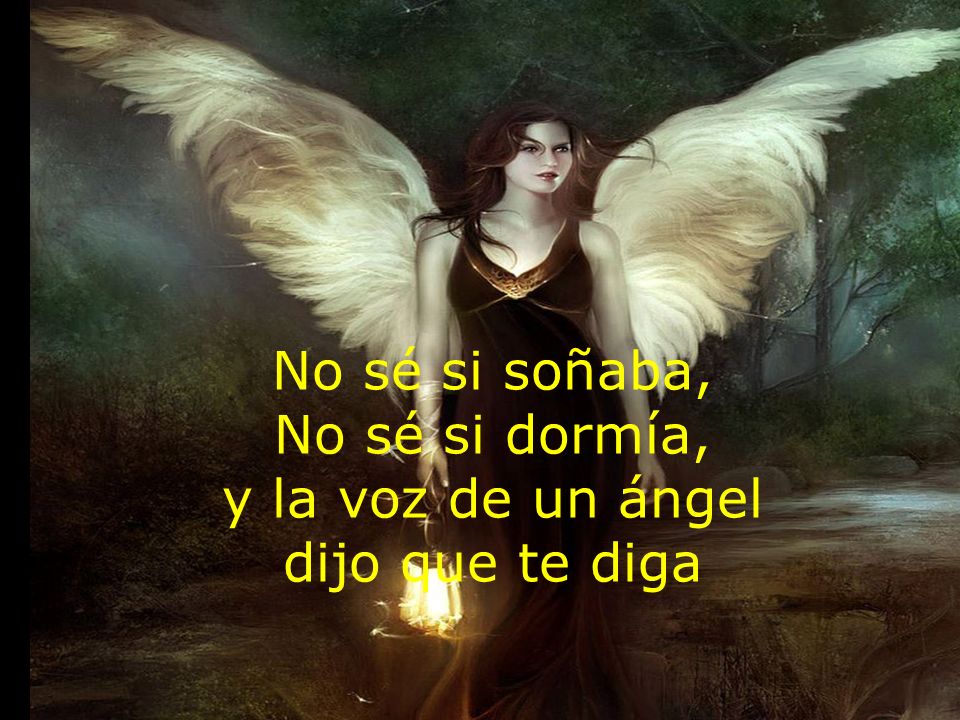 No sé si soñaba, No sé si dormía, y la voz de un ángel dijo que te diga