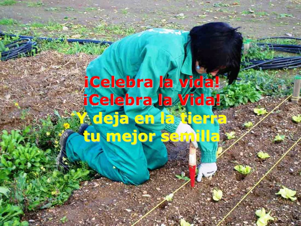 ¡Celebra la vida! ¡Celebra la Vida! Y deja en la tierra tu mejor semilla