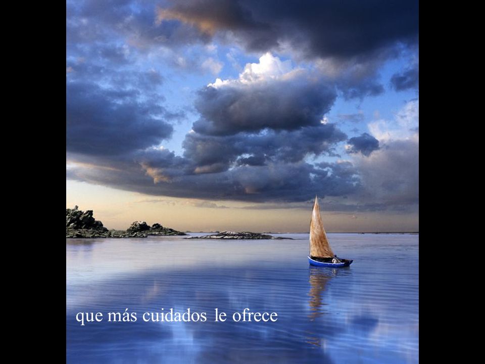 que más cuidados le ofrece