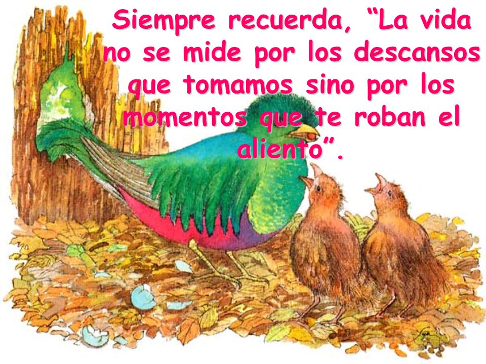 Siempre recuerda, La vida no se mide por los descansos que tomamos sino por los momentos que te roban el aliento .