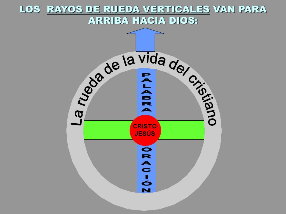 LOS RAYOS DE RUEDA VERTICALES VAN PARA ARRIBA HACIA DIOS: