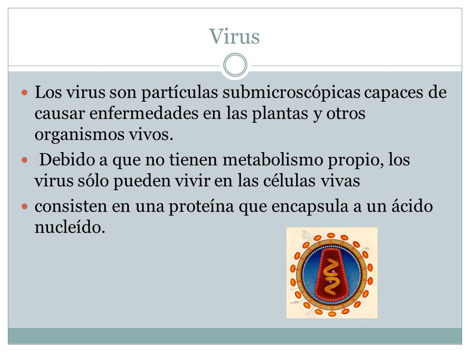 Virus Los virus son partículas submicroscópicas capaces de causar enfermedades en las plantas y otros organismos vivos.