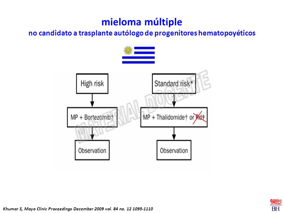 mieloma múltiple no candidato a trasplante autólogo de progenitores hematopoyéticos