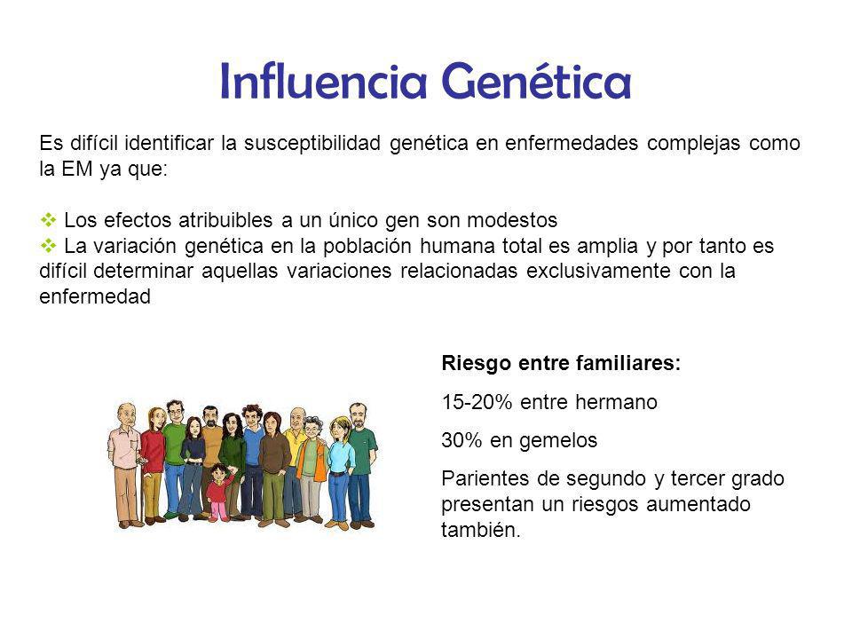 Influencia Genética Es difícil identificar la susceptibilidad genética en enfermedades complejas como la EM ya que: