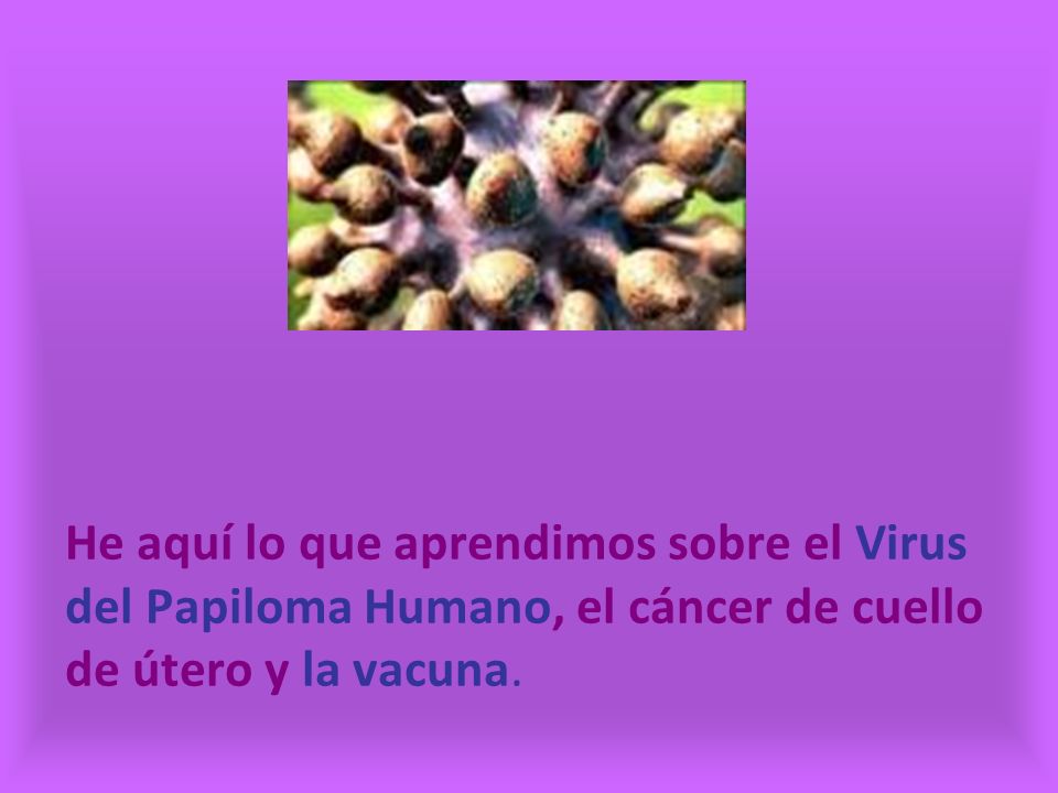 He aquí lo que aprendimos sobre el Virus del Papiloma Humano, el cáncer de cuello de útero y la vacuna.
