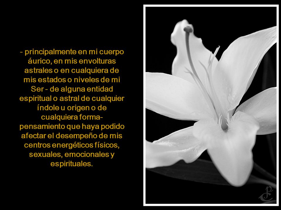 - principalmente en mi cuerpo áurico, en mis envolturas astrales o en cualquiera de mis estados o niveles de mi Ser - de alguna entidad espiritual o astral de cualquier índole u origen o de cualquiera forma-pensamiento que haya podido afectar el desempeño de mis centros energéticos físicos, sexuales, emocionales y espirituales.