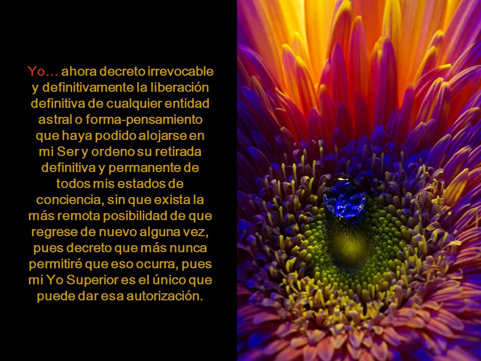 Yo… ahora decreto irrevocable y definitivamente la liberación definitiva de cualquier entidad astral o forma-pensamiento que haya podido alojarse en mi Ser y ordeno su retirada definitiva y permanente de todos mis estados de conciencia, sin que exista la más remota posibilidad de que regrese de nuevo alguna vez, pues decreto que más nunca permitiré que eso ocurra, pues mi Yo Superior es el único que puede dar esa autorización.