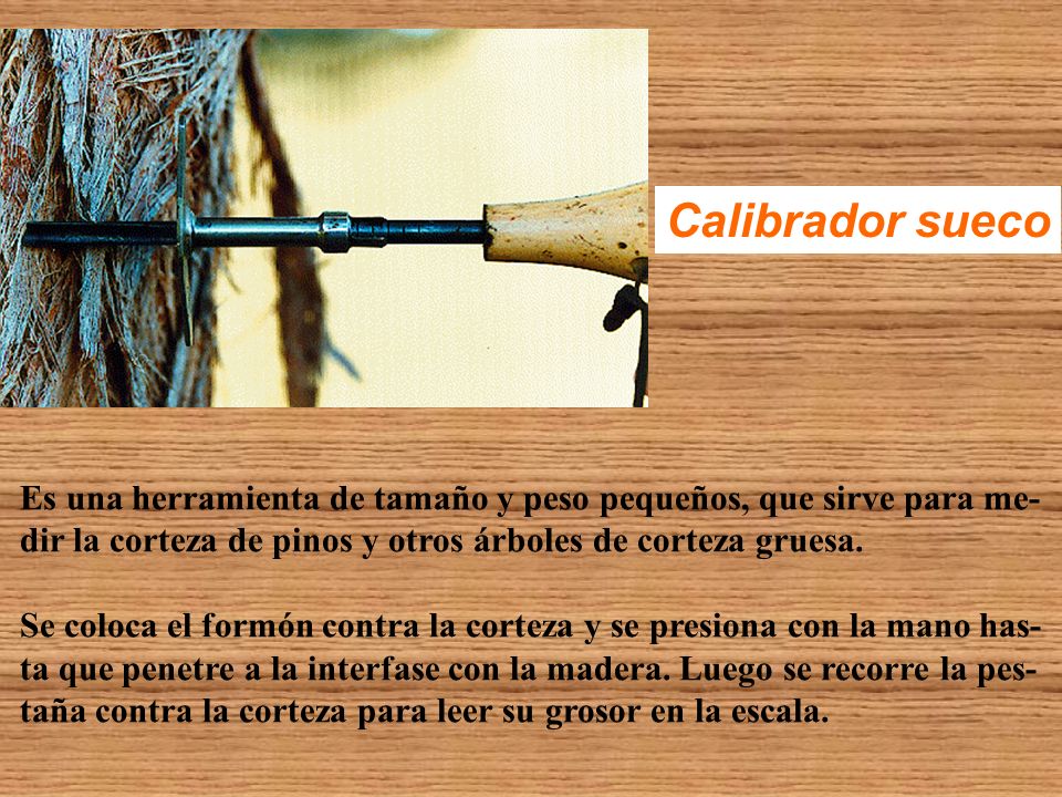 Calibrador sueco Es una herramienta de tamaño y peso pequeños, que sirve para me- dir la corteza de pinos y otros árboles de corteza gruesa.