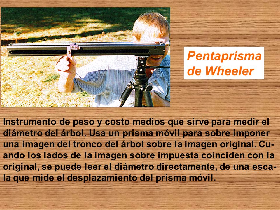 Instrumentos de medición forestal - ppt video online descargar