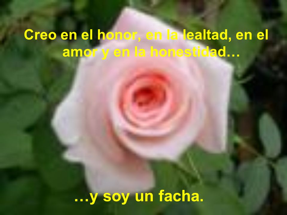 Creo en el honor, en la lealtad, en el amor y en la honestidad…
