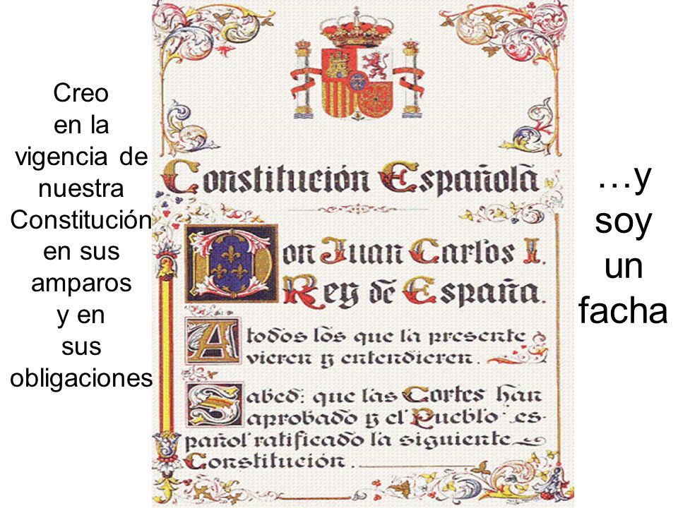 Creo en la vigencia de nuestra Constitución en sus amparos y en sus obligaciones