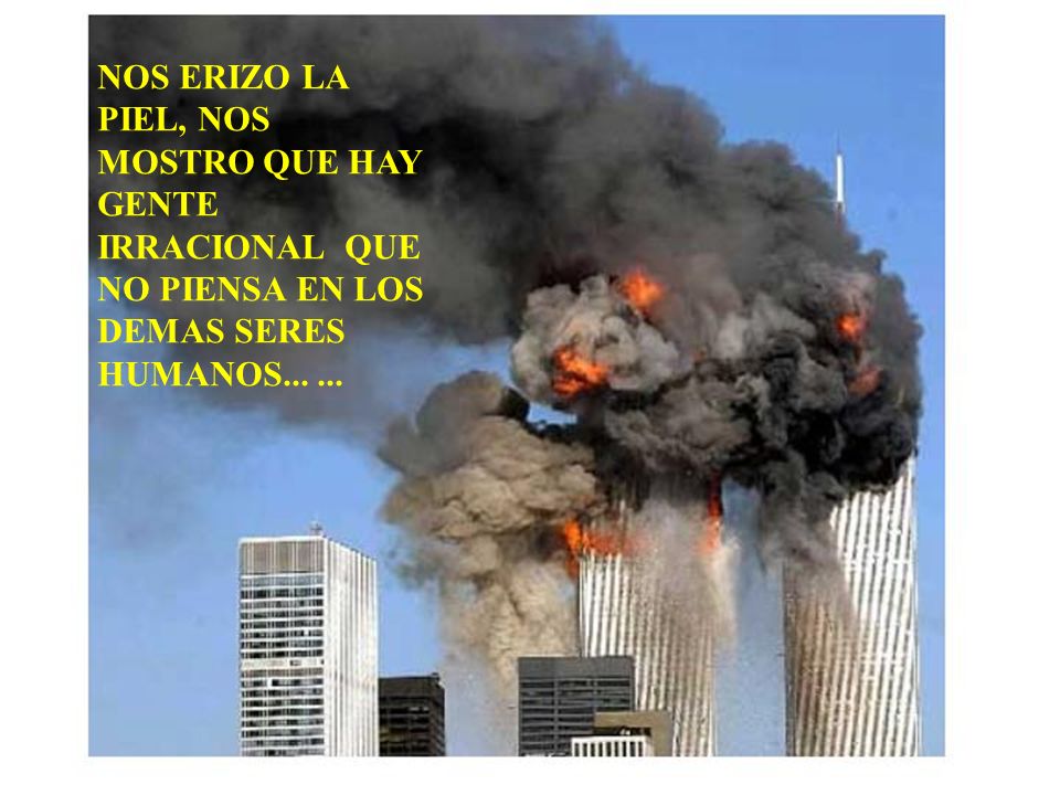 NOS ERIZO LA PIEL, NOS MOSTRO QUE HAY GENTE IRRACIONAL QUE NO PIENSA EN LOS