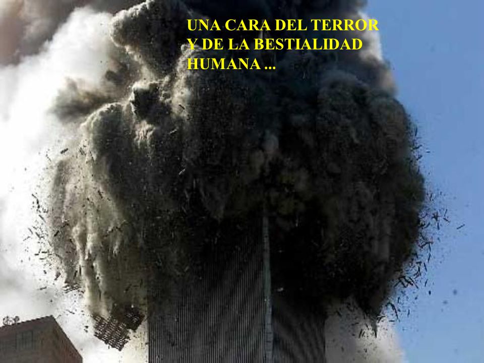 UNA CARA DEL TERROR Y DE LA BESTIALIDAD HUMANA ...
