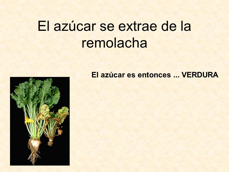 El azúcar se extrae de la remolacha