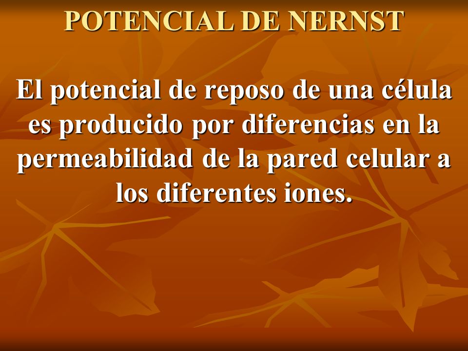 POTENCIAL DE NERNST El potencial de reposo de una célula es producido por diferencias en la permeabilidad de la pared celular a los diferentes iones.