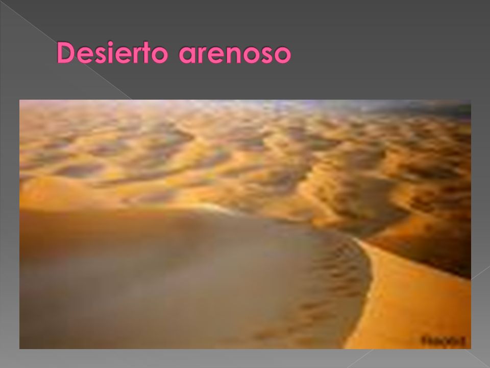 Desierto arenoso