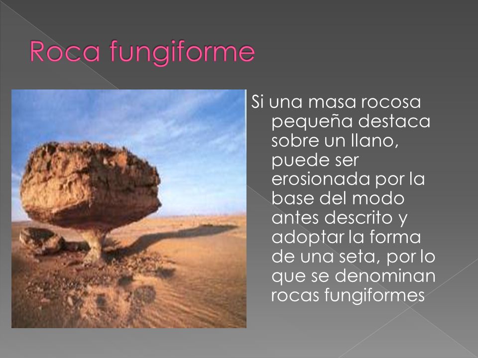 Roca fungiforme