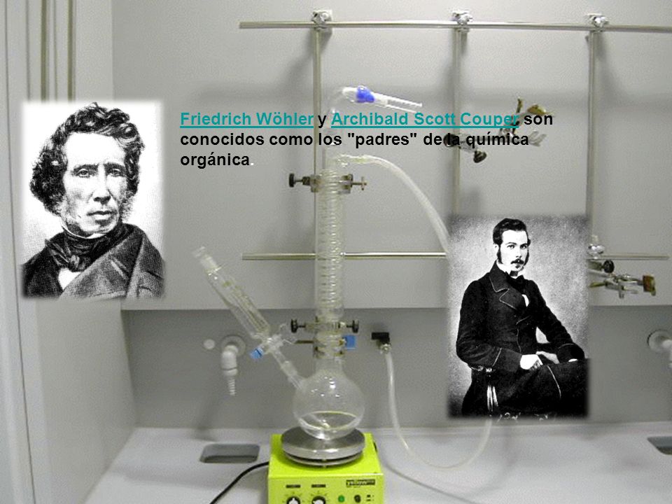 Friedrich Wöhler y Archibald Scott Couper son conocidos como los padres de la química orgánica.