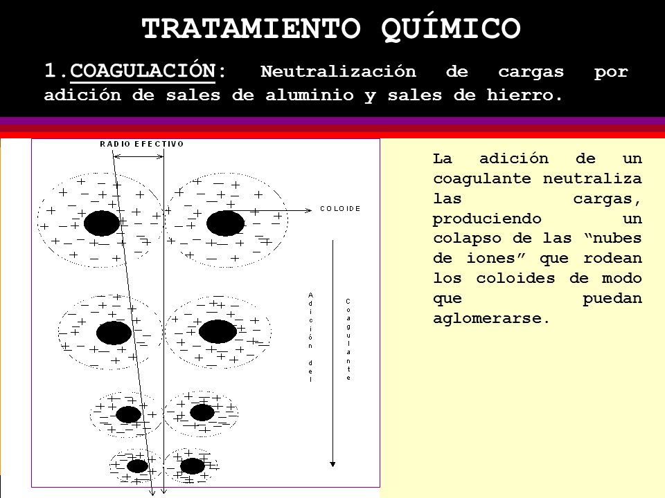 TRATAMIENTO QUÍMICO 1.COAGULACIÓN: Neutralización de cargas por adición de sales de aluminio y sales de hierro.