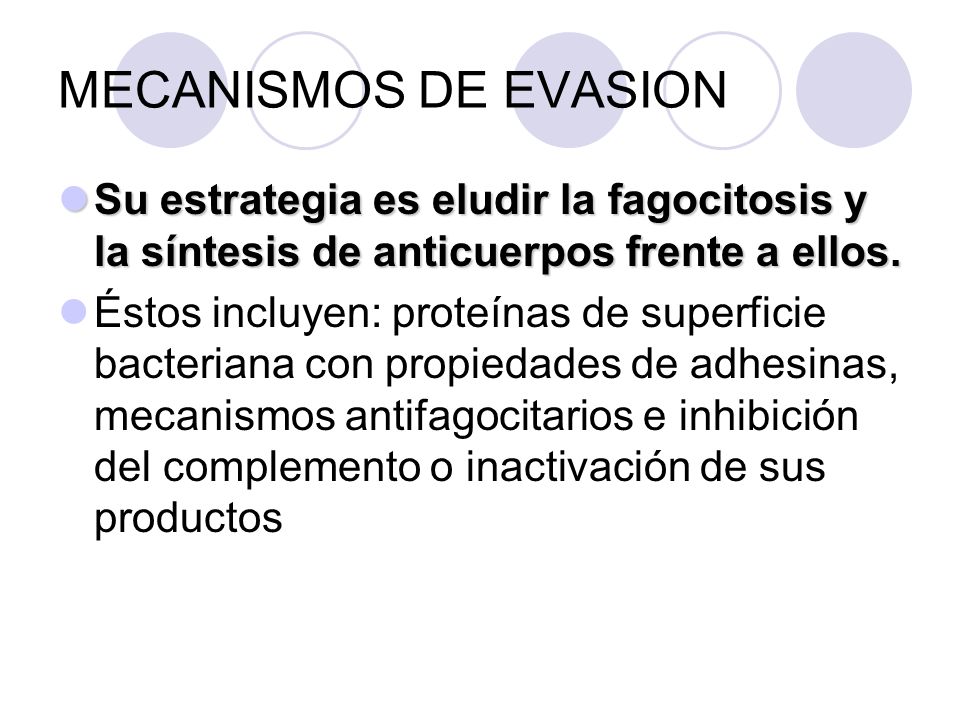 MECANISMOS DE EVASION Su estrategia es eludir la fagocitosis y la síntesis de anticuerpos frente a ellos.