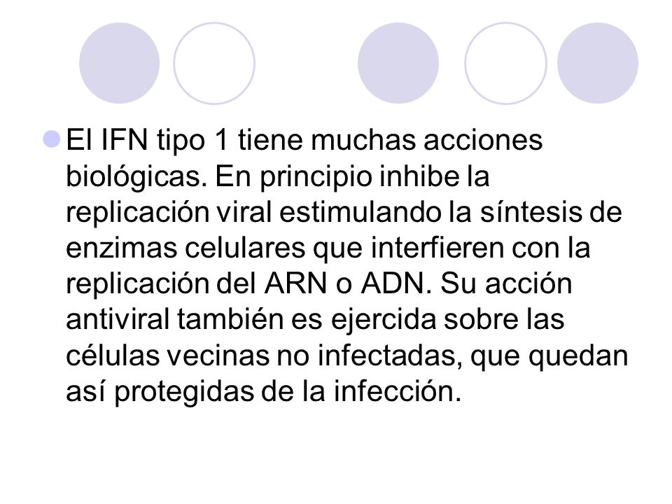 El IFN tipo 1 tiene muchas acciones biológicas