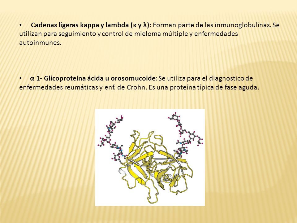 Cadenas ligeras kappa y lambda (κ y λ): Forman parte de las inmunoglobulinas. Se utilizan para seguimiento y control de mieloma múltiple y enfermedades autoinmunes.