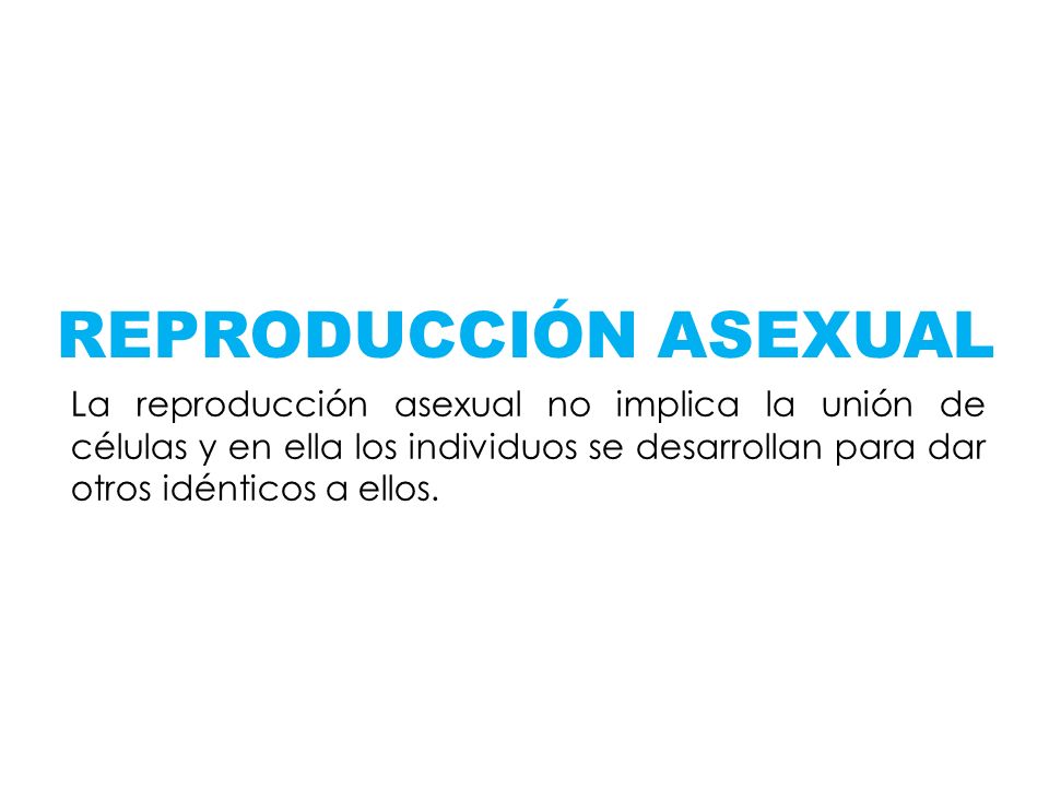 REPRODUCCIÓN ASEXUAL La reproducción asexual no implica la unión de células y en ella los individuos se desarrollan para dar otros idénticos a ellos.