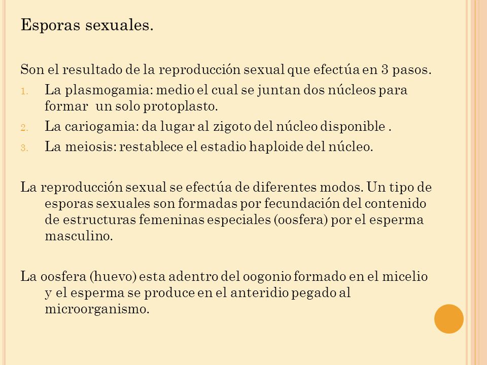 Esporas sexuales. Son el resultado de la reproducción sexual que efectúa en 3 pasos.