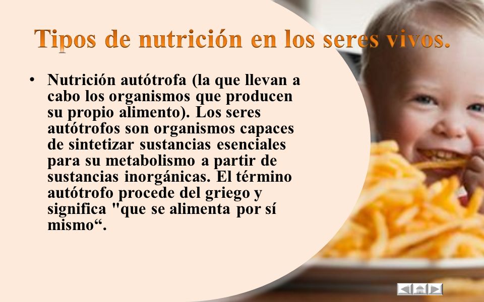 Tipos de nutrición en los seres vivos.