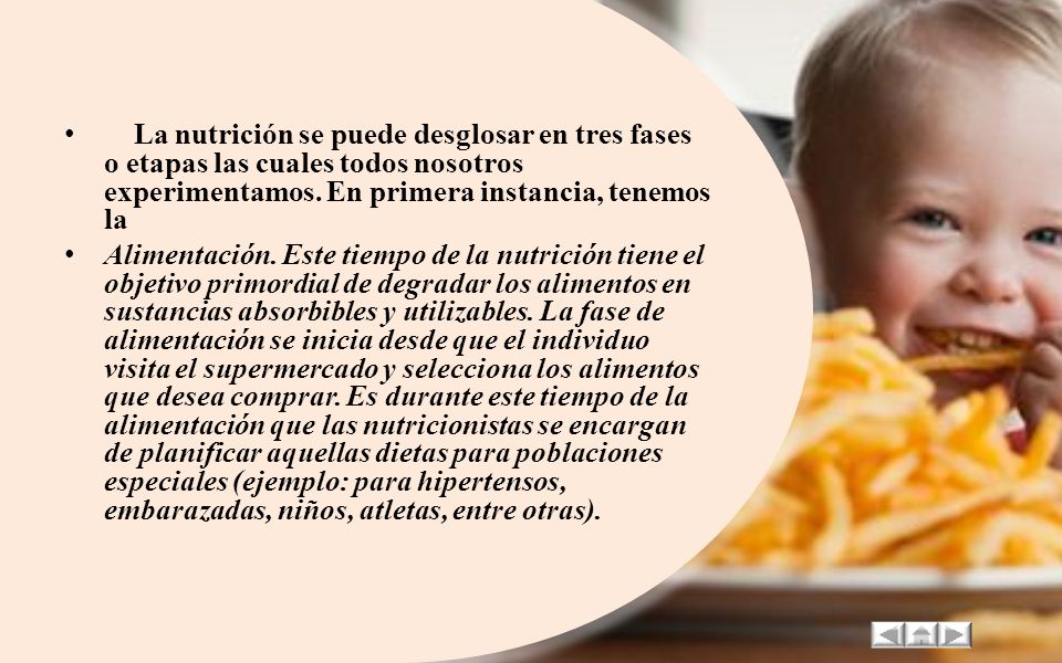 La nutrición se puede desglosar en tres fases o etapas las cuales todos nosotros experimentamos. En primera instancia, tenemos la
