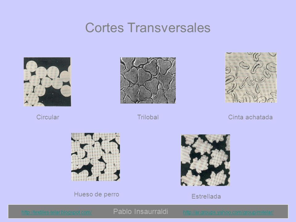Cortes Transversales Circular Trilobal Cinta achatada Hueso de perro