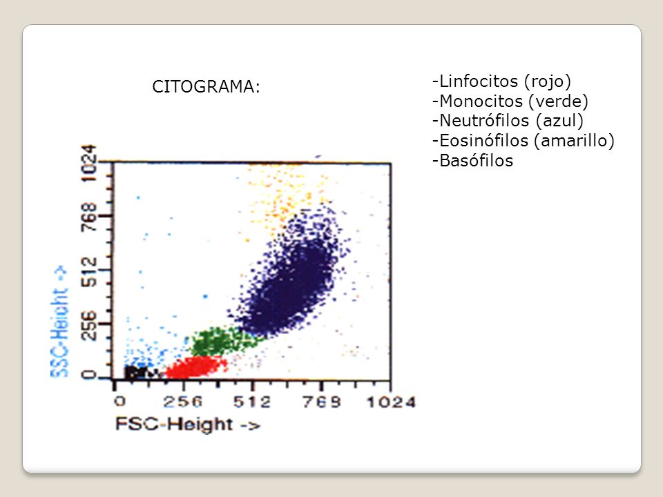 Linfocitos (rojo) Monocitos (verde) Neutrófilos (azul) Eosinófilos (amarillo) Basófilos CITOGRAMA: