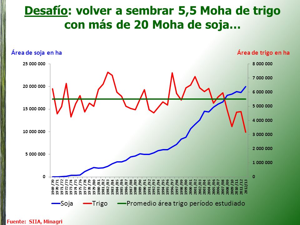Desafío: volver a sembrar 5,5 Moha de trigo