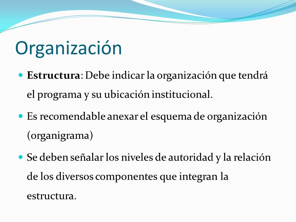 Organización Estructura: Debe indicar la organización que tendrá el programa y su ubicación institucional.