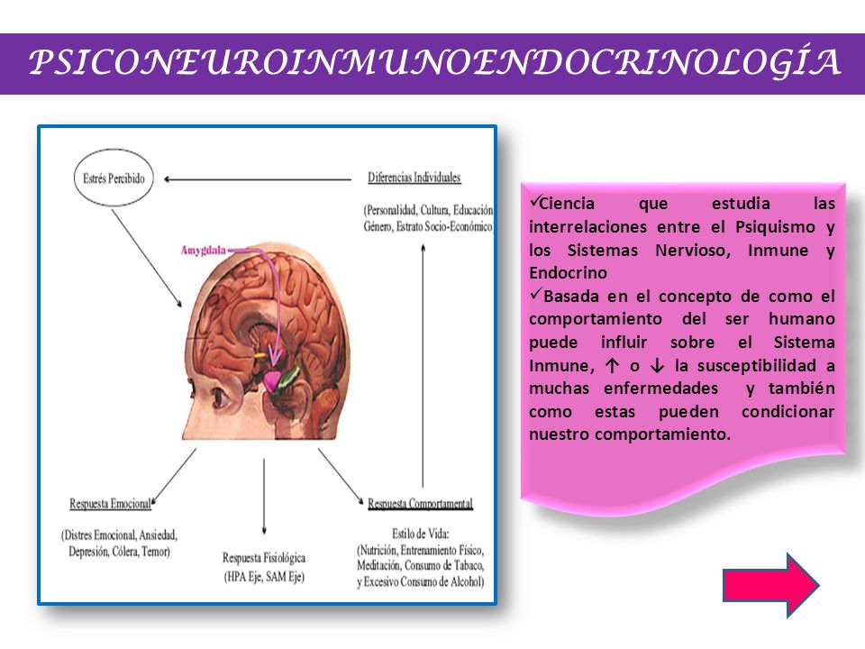PSICONEUROINMUNOENDOCRINOLOGÍA