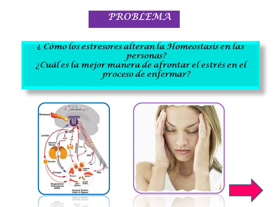 ¿ Cómo los estresores alteran la Homeostasis en las personas