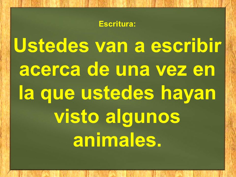 Escritura: Ustedes van a escribir acerca de una vez en la que ustedes hayan visto algunos animales.
