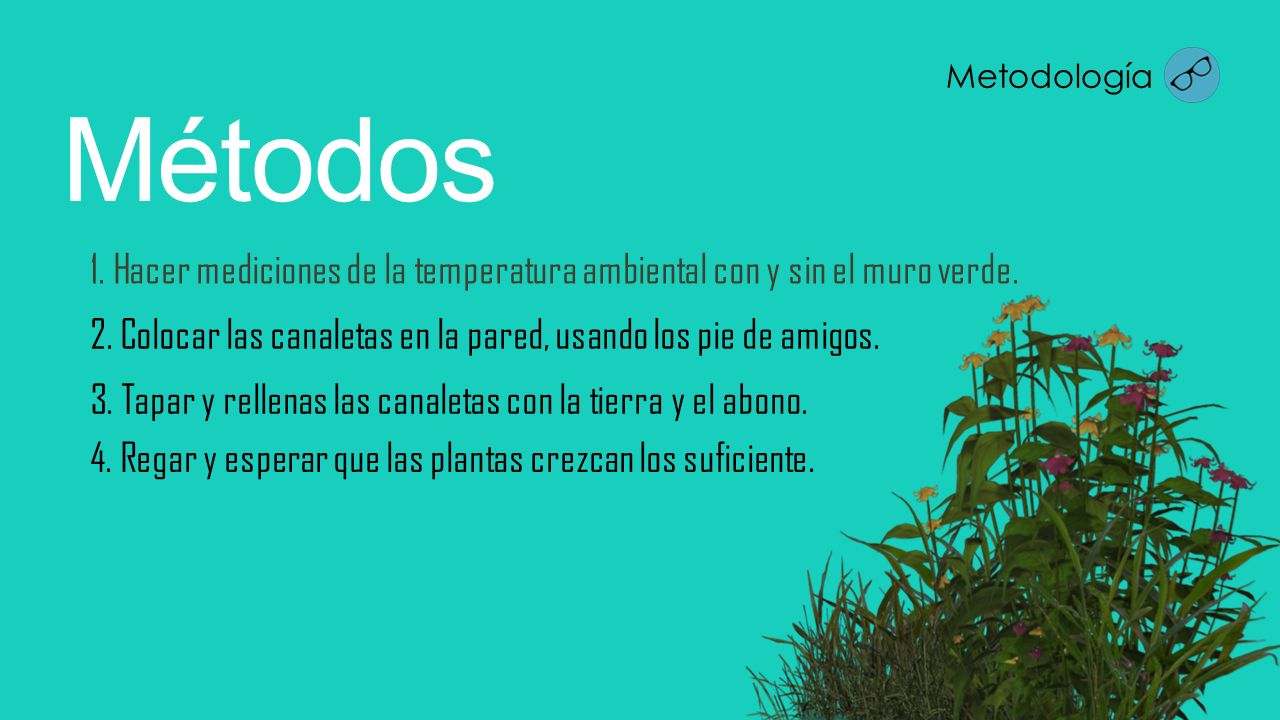 Metodología Métodos. 1. Hacer mediciones de la temperatura ambiental con y sin el muro verde.