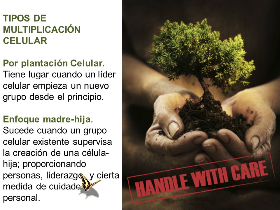TIPOS DE MULTIPLICACIÓN CELULAR. Por plantación Celular. Tiene lugar cuando un líder celular empieza un nuevo grupo desde el principio.